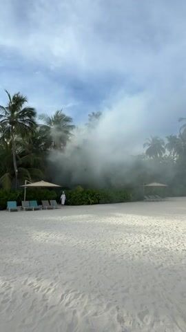 A person wearing a white robe walks across a sandy beach past lounge chairs and umbrellas, towards a dense line of palm trees and greenery obscured by thick white fog or smoke. The sky above is cloudy.