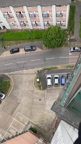 The video shows a high-angle, static shot looking down onto a street and parking lot.  A multi-story building, primarily white with pink accents, lines the top edge of the frame.  A green hedge and a large tree are situated between the building and the street. The street has several cars parked along it, including black and silver vehicles.  A person is walking a dog on the sidewalk across the street. The parking lot below features several parked cars (white, silver, and blue).  A small motorcycle is lying on its side on the pavement in the parking lot near the curb. The bottom right corner shows the edge of the building from which the video is being filmed, with a partially visible window and textured concrete.  A "NO PARKING" sign is painted on the parking lot surface in the bottom center of the frame.