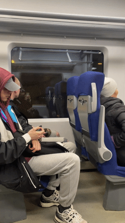 Moscow train passengers during evening commute