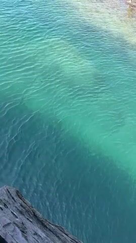 A close-up, high-angle shot shows the surface of clear, turquoise water. Ripples distort the light, creating a textured, wavy pattern across the water. In the lower left corner, a rough, grey rock juts into the frame, providing a stark contrast to the smooth water. The sun appears to be shining, illuminating the water and casting shadows on the rock.