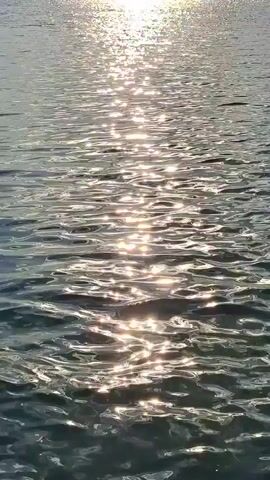 A video captures the surface of rippling water, reflecting sunlight. The camera is positioned low, looking across the water from what appears to be its edge or a low boat. The sun's reflection creates a shimmering, dappled path across the water's surface, extending from the top of the frame towards the viewer. The water exhibits gentle waves, causing the reflections to dance and distort. The overall impression is one of tranquility and natural beauty, emphasizing the interplay of light and water. No people, objects, or specific actions are visible beyond the natural movement of the water and the light's reflection. The environment is solely defined by the body of water and the sunlight.