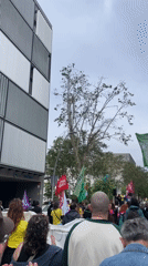 May Day demonstration draws crowds to Barcelona streets