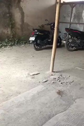 The video opens by showing two black motorcycles parked outdoors on a dirt and concrete surface. A wooden pole stands vertically in the foreground, casting a shadow. The camera then pans to the right, revealing a cluttered storage area with corrugated metal walls and a wooden roof. Various items are stacked and leaning against the walls, including bicycles, tools, and what appears to be a birdcage hanging from the ceiling. Inside the birdcage, a small bird is visible. The floor is covered in dirt and debris. The overall impression is of a utilitarian, somewhat disorganized space.