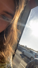 Person films from vehicle window on Arnhem bridge