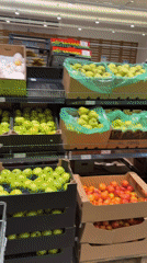 Shopper documents supermarket visit in Burgas, Bulgaria
