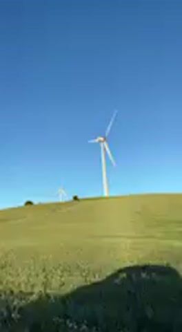 The video captures a serene rural landscape under a clear blue sky, likely in Paterna de Rivera, Spain. The primary subjects are several large wind turbines, prominently situated atop rolling green hills. The blades of the wind turbines are actively spinning, indicating a brisk wind and the generation of wind power. In the foreground, a distinct shadow of what appears to be a car is visible, suggesting the footage was taken from a moving vehicle. The bright, even lighting points to either morning or late afternoon, with a perfectly cloudless sky. The lush green of the hills suggests a fertile environment. No people are visible, and there is no discernible text within the frame. The overall scene conveys a sense of peaceful energy production in a natural setting.