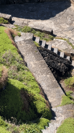Coastal scenes captured in Ericeira include clifftop visitor, distressed seagull