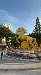 Evening Recreation Activities Across Nha Trang Public Spaces