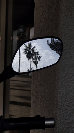 Morning dog walk documented through Budva, Montenegro