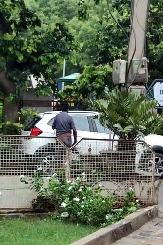 Gurgaon street life: animals, commuters, and overcast skies