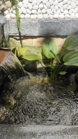 Street-level details and aquatic life in Nha Trang Ward