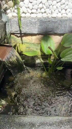 Street-level details and aquatic life in Nha Trang Ward