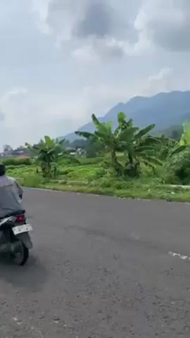 The video shows a roadside view with a mountain in the background. The road is black asphalt with a white line. On the other side of the road, there are banana trees, green fields, and some houses. The mountain is covered with green trees and partially obscured by clouds. A person can be heard saying "hello." The sky is cloudy.