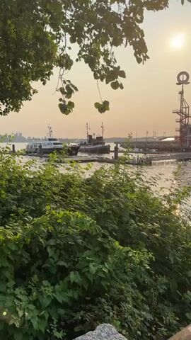The video shows a waterfront scene at sunset. In the foreground, lush green bushes and leaves are in focus. Beyond the bushes, a body of water reflects the sunlight. On the water, two boats are docked. In the background, a cityscape is visible in the distance, with buildings and a tall tower topped with a large circular structure. The sky is hazy and tinged with orange, indicating the setting sun. The overall atmosphere is serene and tranquil.
