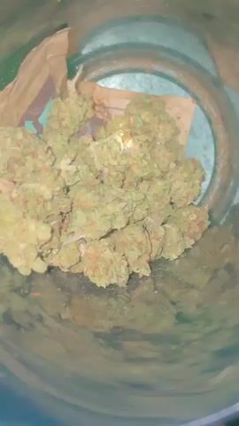 The video shows a close-up view inside a clear glass jar filled with multiple light green cannabis buds. The jar is also partially filled with a crumpled brown paper bag. The camera shakes slightly, giving the viewer the perspective of someone holding the jar. The lighting is neutral, and the overall focus is on the cannabis buds within the jar.