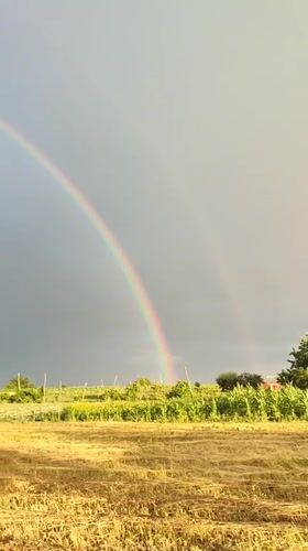 Novosamarka, Ukraine