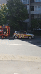 Decorated car with dog trailer spotted on Varna street