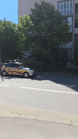 Decorated car with dog trailer spotted on Varna street