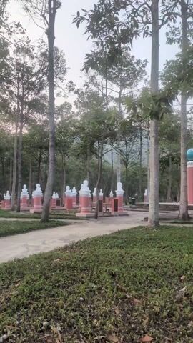 The camera slowly pans across a park-like setting featuring tall, slender trees with green foliage. A winding concrete pathway cuts through the grassy landscape. Along the pathway, a series of small, decorative structures are visible. Each structure has a pink base, a white top resembling a bust, and possibly a small, roof-like element. The scene is well-maintained, with neat grass and manicured edges along the pathway. The sky is overcast, casting a soft, diffused light over the entire scene. In the foreground, the camera moves past a tall utility pole and some thin, sparsely leaved branches.