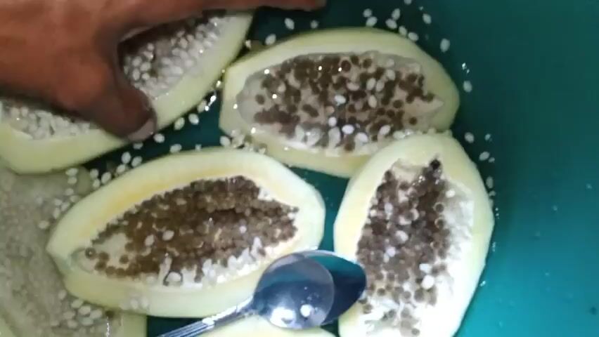 A close-up overhead shot shows several halved green papayas submerged in water in a teal basin. A hand is seen reaching into the basin and manipulating one of the papaya halves, dislodging several seeds. A spoon rests at the bottom of the basin. The papayas are filled with seeds.