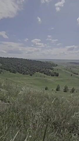 The video pans across a grassy hill with tall dry grass in the foreground. In the middle ground, rolling green hills are dotted with scattered trees. A dense forest covers the left side of the middle ground. In the background, a large body of water, possibly a lake or river, stretches across the horizon under a bright blue sky with scattered white clouds. The scene appears to be a natural landscape on a sunny day.