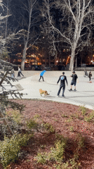 Evening street life and recreation captured across Tbilisi