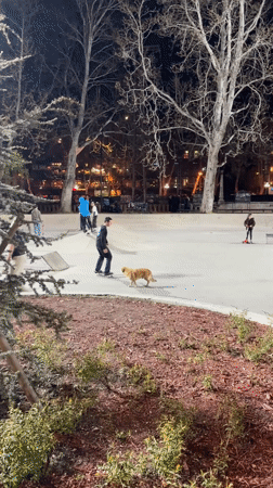 Evening street life and recreation captured across Tbilisi