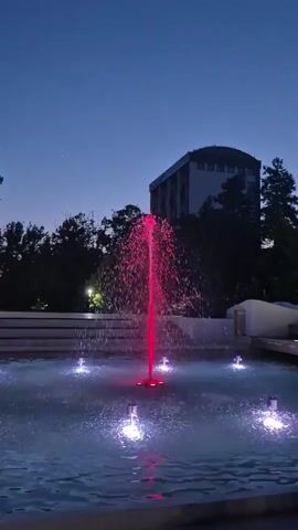 A fountain with red and blue lights illuminates the water. The fountain has a tall stream of water in the center with smaller streams around it. The lights change colors from red to blue to purple and back to red. There is a flock of birds flying in the sky above the fountain. The sky is dark blue, indicating it is nighttime. There are trees and a building in the background.