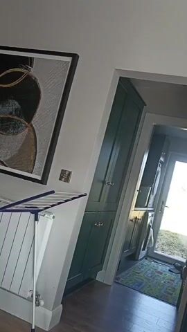 The video shows an interior scene, likely a kitchen and a utility area.  On the left, a radiator with a drying rack is visible, next to a tall, dark green cabinet. Above the cabinet is a framed piece of abstract art. The floor is wooden.  The scene then pans right into a kitchen area. There are dark green cabinets with gold hardware. On the countertop, a coffee maker, bottles, and a fruit bowl with bananas are visible. A sink with a modern faucet is also present. Further to the right, a microwave and oven are integrated into a tall dark green cabinet unit. A patterned rug is on the floor in the utility area, leading towards an open door with a view of the outdoors. Two chairs, one appearing to be leather, are in the foreground, suggesting a dining area. Sunlight is coming in from the doorway.