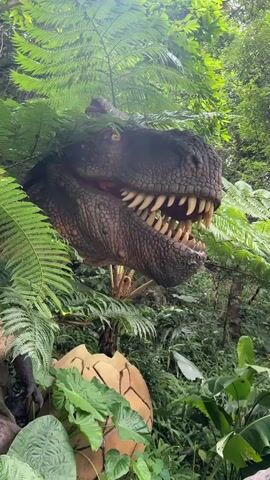 The video opens with a close-up shot of a realistic dinosaur model, its mouth open and teeth bared, surrounded by lush green foliage. The camera then quickly pans upwards, showing a blurry view of trees and sky. The scene transitions to a wide shot of a dense, green forest with a waterfall or river flowing through it. Several red inflatable rafts are visible in the water, each carrying people. The camera pans slightly, revealing more of the forest and some structures that appear to be part of a park or resort. The video concludes with a shot focusing on the rafts and people in the water.