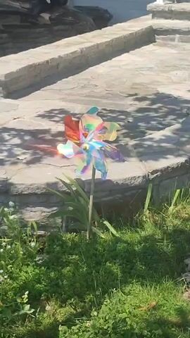 A colorful, iridescent pinwheel stands in the grass. The pinwheel's blades spin slowly, catching the sunlight and reflecting rainbow hues. Behind the pinwheel, a stone pathway leads up to a building. Lush green grass and small white flowers surround the base of the pinwheel. The sun casts dappled shadows on the pathway.