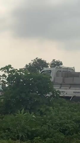 The video shows a light-colored pickup truck partially obscured by dense green foliage. The truck appears to be carrying some cargo, possibly building materials, in its bed. The sky is overcast. In the background, there is a yellow building and a person walking. Another vehicle, possibly a motorcycle, is visible on the left side of the frame, with a person riding it. The truck is stationary.