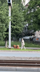 Evening street life captured across Izhevsk during twilight hour