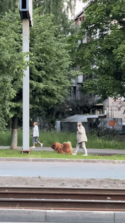 Evening street life captured across Izhevsk during twilight hour