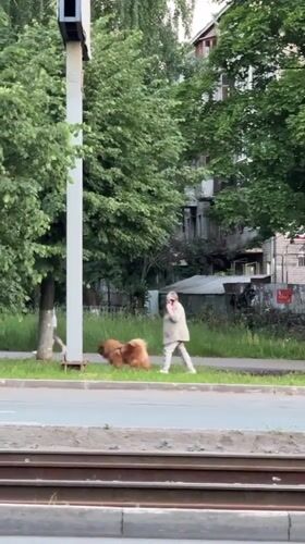Evening street life captured across Izhevsk during twilight hour