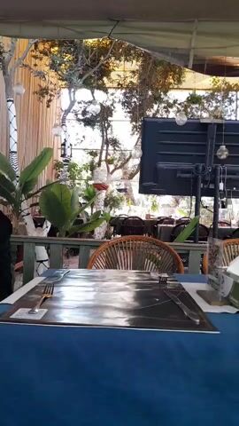 The video shows a close-up view of a table setting at an outdoor restaurant or cafe. The table is covered with a dark blue tablecloth and has a shiny, reflective placemat. Silverware, a knife and fork, are placed on the placemat. In the background, there are several round, woven chairs and more tables set for dining. Beyond the seating area, there is lush greenery, including large tropical-looking plants and trees with hanging lights. A black screen is mounted on a stand in the background, and bamboo-like siding is visible on the left side of the frame. The overall ambiance suggests a relaxed, open-air dining environment.