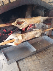 Whole lamb spit-roasting over open fire in Bulgarian stone oven