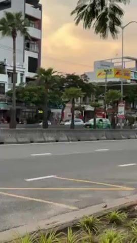 The video shows a street in what appears to be a tropical city. Palm trees line the side of a road with multiple lanes. Several motor scooters drive along the road. There are several buildings visible in the background. The sky is visible above the buildings and palm trees and appears to be sunset. A concrete divider runs along the side of the road separating the street from a small garden bed.