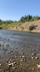 Clear summer afternoon on a shallow Ukrainian river