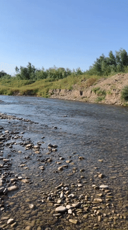 Clear summer afternoon on a shallow Ukrainian river