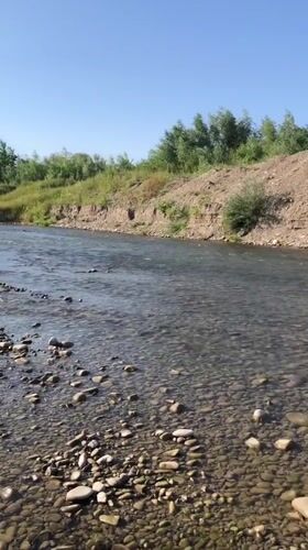 Clear summer afternoon on a shallow Ukrainian river