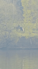 Spring afternoon recreational activities observed across Khimki, Russia