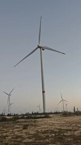 The video shows a wind farm with multiple wind turbines standing on a sandy, barren landscape under a clear, pale sky. The turbines are white with three blades, some with red tips, and a red band near the base of one of the towers. The turbines are spaced apart, with some small, sparse vegetation visible on the ground. The foreground is sandy soil. The turbines are not moving significantly.