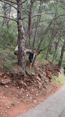 Man climbs trees on rocky hillside in Montenegro