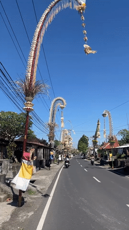Sukawati street dressed with ceremonial penjor for a Balinese festival