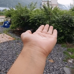 Home cooking session features glazed fried chicken in rural Korea