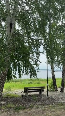 The video shows a static shot of a park bench located by a body of water. The bench is made of wood and concrete and is positioned beneath the shade of several birch trees. The trees have white bark and green leaves, and their branches hang over the bench. In the background, there is a large body of water, possibly a lake or river, with a faint shoreline visible in the distance. The ground around the bench is covered with gravel and some scattered leaves. A single lamppost with a light fixture stands to the right of the bench. The overall scene depicts a peaceful, natural setting.