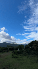 Rural Sri Lankan landscape captured in dawn panoramic video