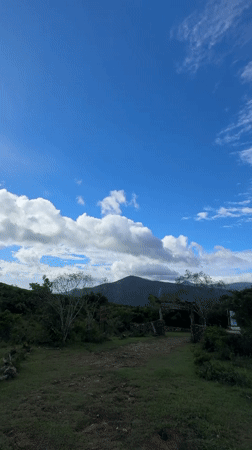 Rural Sri Lankan landscape captured in dawn panoramic video