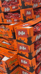 Full store walkthrough of a Camp Hill grocery, beverages to Halloween candy